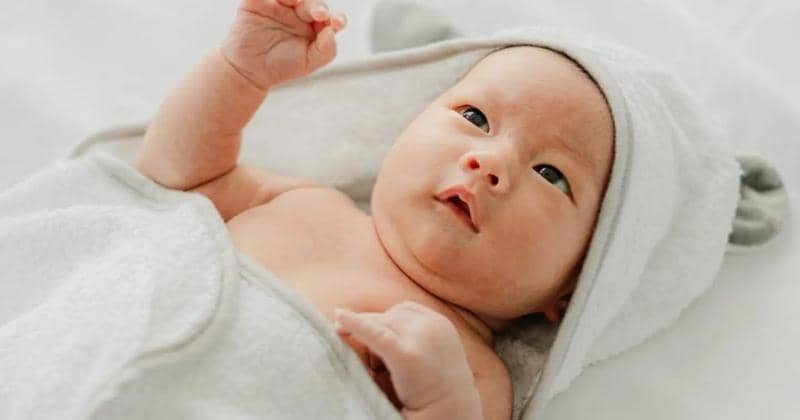 Instagram.com/petitbeary